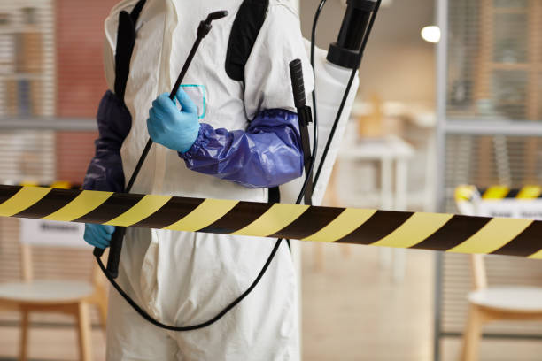 Professional Sewage Cleanup technician working in Henderson, CO